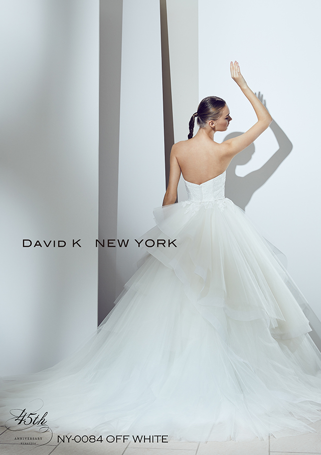 DAVID K NEW YORK-02