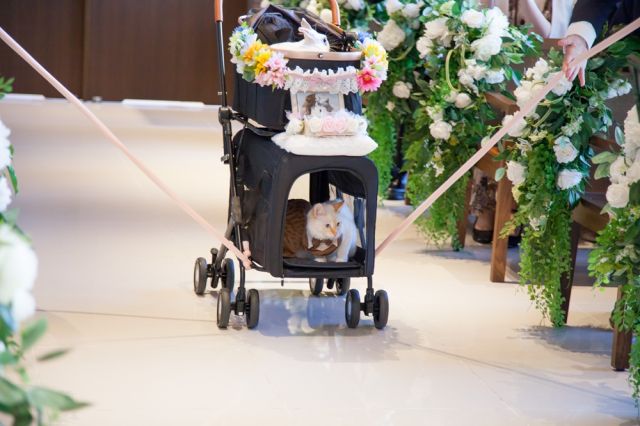 実例レポートNo.83-04