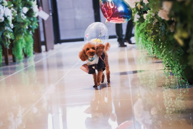 実例レポートNo.84-05