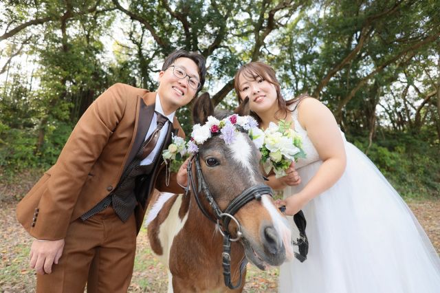 実例レポートNo.86-01